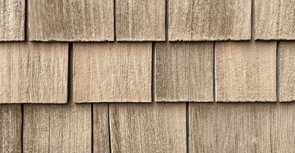 shake shingle promo